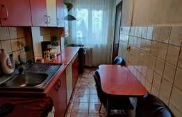 Apartament de 2 camere, decomandat, 50 mp, 2 balcoane, etaj intermediar, zona Parang