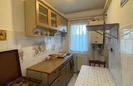 Apartament de inchiriat cu 2 camere, 45 mp, zona strazii Fantanele