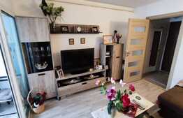 Garsoniera de 28 mp, renovata, zona Uzina 2