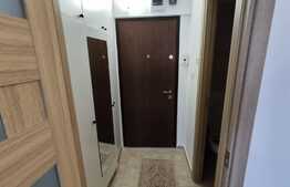 Garsoniera de 28 mp, renovata, zona Uzina 2