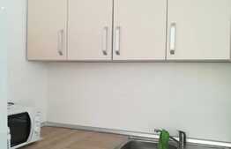 Garsoniera de 28 mp, renovata, zona Uzina 2