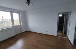 Apartament de 2 camere, 45 mp, proaspat renovat, zona Gemenii