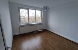 Apartament de 2 camere, 45 mp, proaspat renovat, zona Gemenii