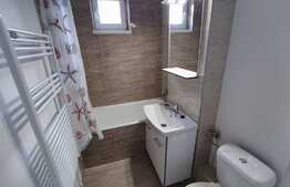 Apartament de 2 camere, 45 mp, proaspat renovat, zona Gemenii