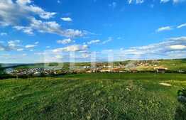  Teren 650 mp, PUZ in lucru, zona de case, Borhanci