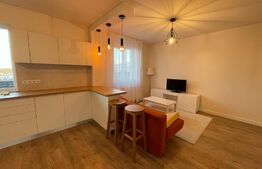 Apartament de 2 camere, cochet, 55 mp, zona BMW