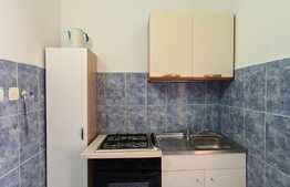 Camera de camin, 20 mp, zona Astra