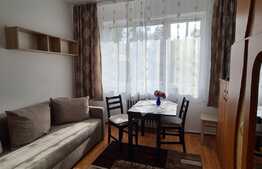 Camera de camin, 20 mp, zona Astra