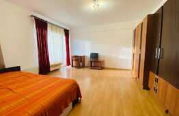 Apartament cu o camera, 40 mp, parcare, zona Platinia