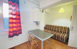 Apartament cu o camera, 40 mp, parcare, zona Platinia