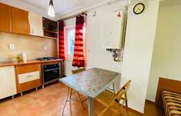 Apartament cu o camera, 40 mp, parcare, zona Platinia