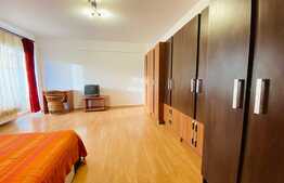 Apartament cu o camera, 40 mp, parcare, zona Platinia