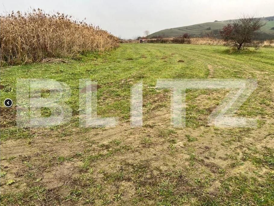 Teren de vânzare Sopor - 80693TV | BLITZ Cluj-Napoca | Poza3