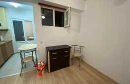 OPORTUNITATE! Garsoniera, ideala pentru investitie, zona Porii!