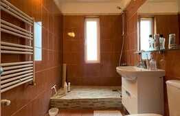 Casa individuala la cheie, 408 mp, semineu, jacuzzi, gradina, zona Tureni