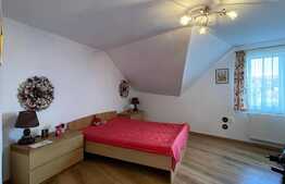 Casa individuala la cheie, 408 mp, semineu, jacuzzi, gradina, zona Tureni