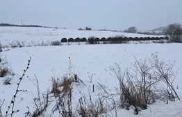 Teren intravilan in Chinteni cu suprafata de 1040 mp 