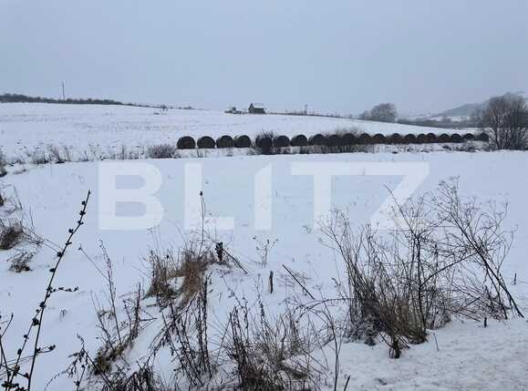 Teren de vânzare Chinteni - 80794TV | BLITZ Cluj-Napoca | Poza1