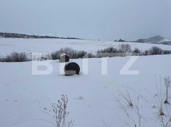 Teren de vânzare Chinteni - 80810TV | BLITZ Cluj-Napoca | Poza1