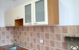 De inchiriat apartament 1 camera, 44 mp, mobilat modern, zona Lidl