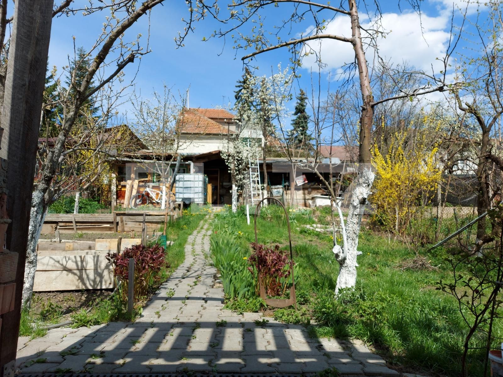 Casa de vânzare 5 camere Dambul Rotund - 80833CV | BLITZ Cluj-Napoca | Poza3