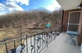 Apartament 1 camera, 43 mp, zona Edgar Quinet