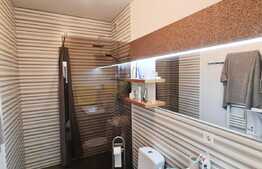 Casa cu 4 camere si 248 mp de teren, aer conditionat, barbeque, la 5 minute de Vivo