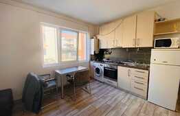 Apartament cu 2 camere, 45 mp, 2 parcari, petfriendly, zona Buna Ziua