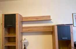 Apartament cu 1 camera, decomandat, 35 mp, zona Primaverii 