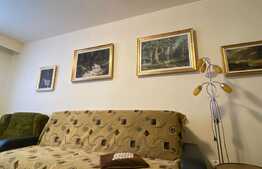 Apartament cu 1 camera, decomandat, 35 mp, zona Primaverii 