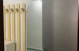 Garsonieră de vânzare, zona Kaufland Mănăștur, balcon