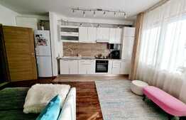 Apartament 3 camere de lux, zona Somesului 