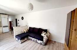 Apartament finisat nou de 2 camere, 51mp, gradina 60mp! Zona strazii Teilor