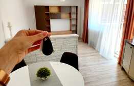 Apartament finisat nou de 2 camere, 51mp, gradina 60mp! Zona strazii Teilor