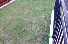 Apartament finisat nou de 2 camere, 51mp, gradina 60mp! Zona strazii Teilor