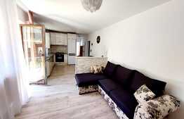 Apartament finisat nou de 2 camere, 51mp, gradina 60mp! Zona strazii Teilor