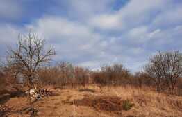 De vanzare casa individuala, 93 mp utili, 1200 mp teren, Sanpaul