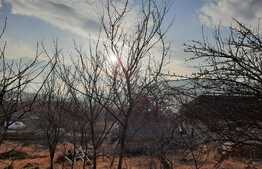 De vanzare casa individuala, 93 mp utili, 1200 mp teren, Sanpaul