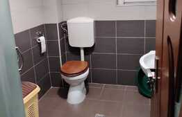 Apartament de 2 camere la cheie, etaj 1