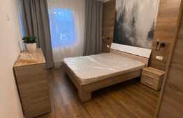 Apartament lux cu 3 camere, zona Fagului