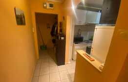 Apartament de 2 camere, 46mp, Zona Scriitorilor 