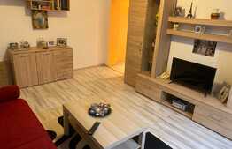 Apartament de 2 camere, 46mp, Zona Scriitorilor 