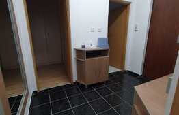 Apartament 2 camere decomandat 50 mp, zona Petrom, Baciu