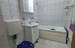 Apartament 2 camere decomandat 50 mp, zona Petrom, Baciu