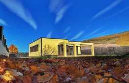 Case moderne finalizate in Zizin