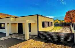 Case moderne finalizate in Zizin