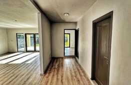 Case moderne finalizate in Zizin