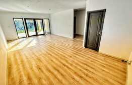 Case moderne finalizate in Zizin