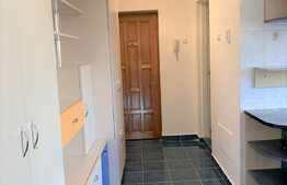 Apartament 46 mp utili, etaj intermediar, zona Parcului Central!