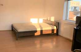 Apartament 46 mp utili, etaj intermediar, zona Parcului Central!